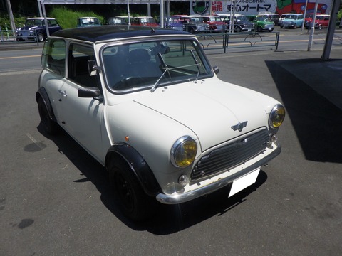 KAJI4251