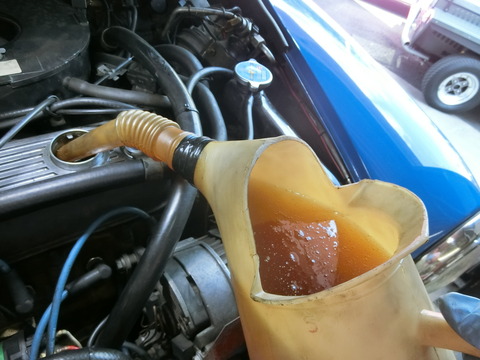 CIMG6511