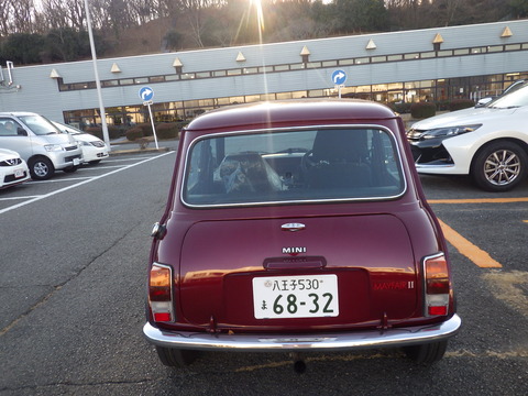 KIKU3424