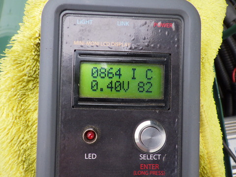 KIKU8418