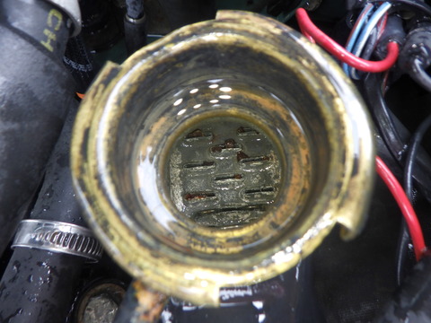 KAJI4028