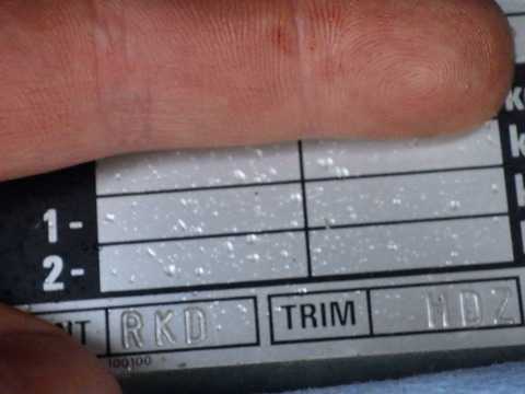 KIKU5183