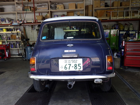 AZM_3919