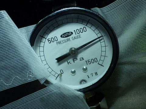 ISK_9556