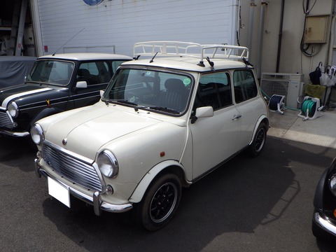 SQOR0013