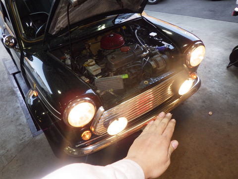 AZM_7637