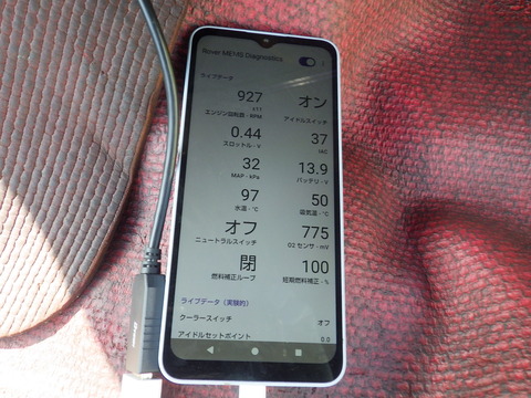 KIKU4264