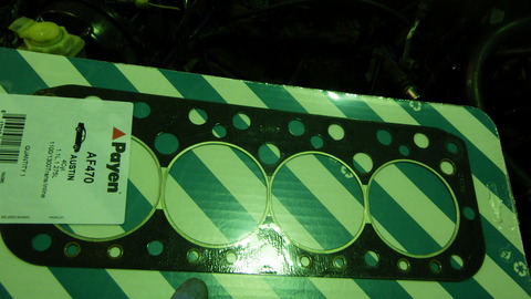 KUBO0603