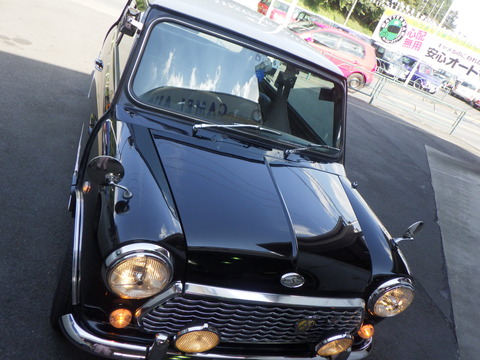 KAJI5565