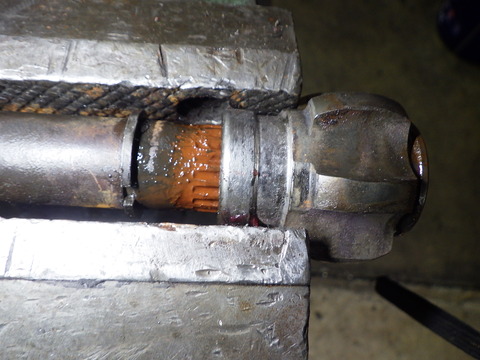 KUBO8534