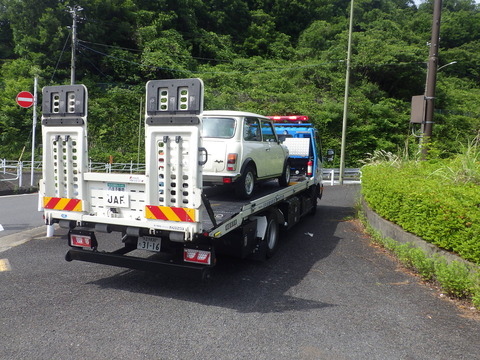 KIKU4961