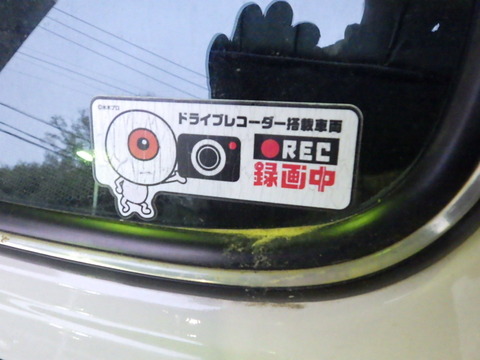 KIKU1731