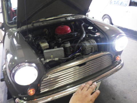 AZM_8726