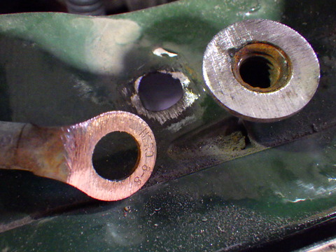 KIKU4371