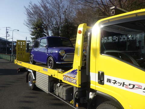 KAJI1555
