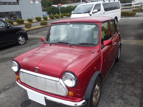 AZM_3446