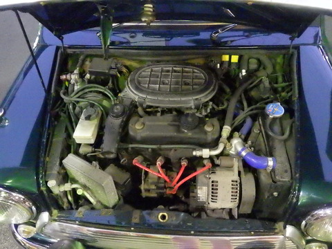 KIKU5971