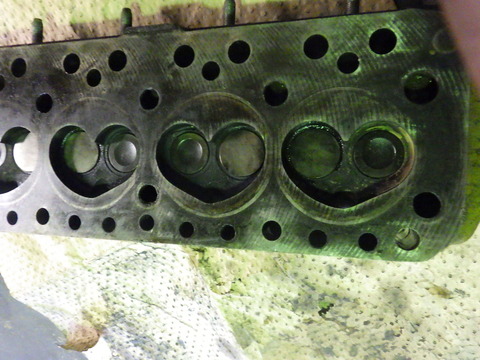 KIKU5128