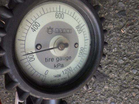 KIKU3628