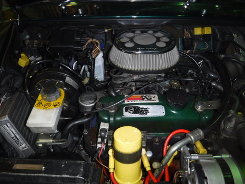 DSCF0536