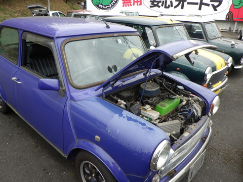 KAJI1900