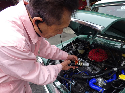 KIKU8398