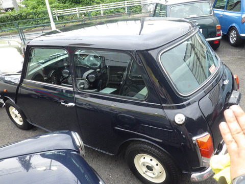 KIKU7947