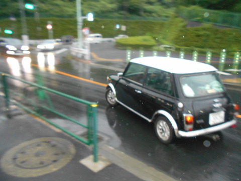 DSCN7594