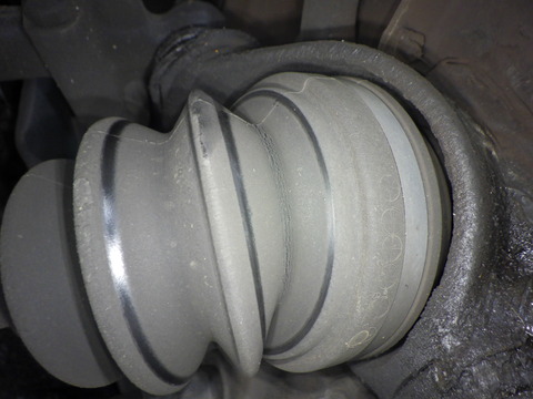 KAJI5372