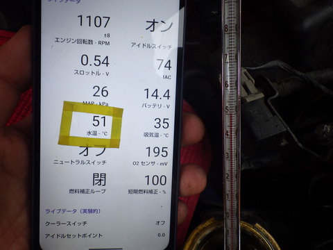 KIKU6980