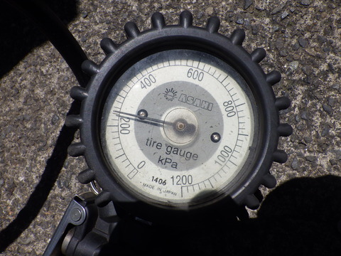 KIKU4028