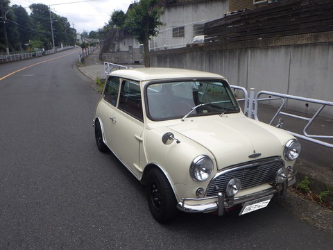 SQOR9881