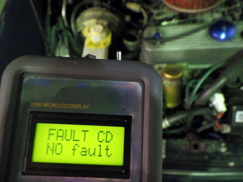 KAJI4486