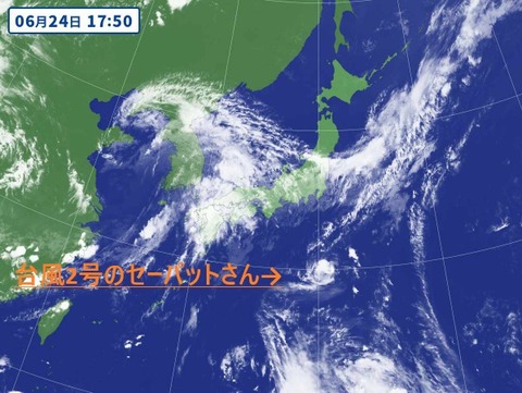 台風2号セーパットさん