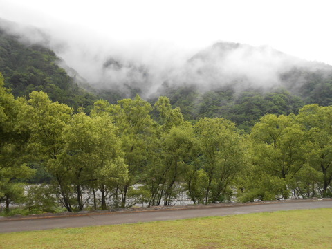 DSCN7696