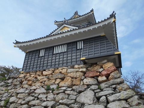 DSCN6304