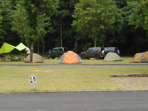 DSCN7445