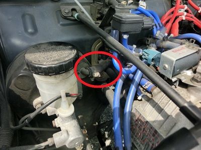 渡邉さんレックス6