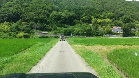 HORIZON_0001_BURST20210711121606917_COVER_6