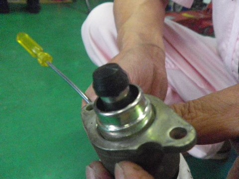 IMGP2503_R