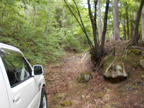 DSCN0305