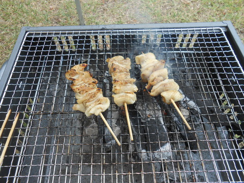 DSCN7465
