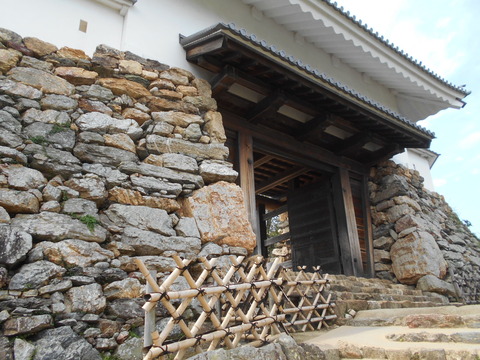 DSCN6302