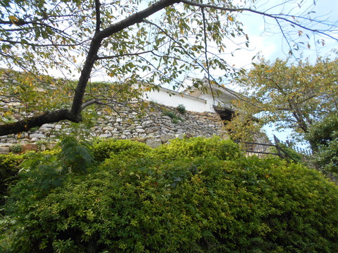 DSCN6300