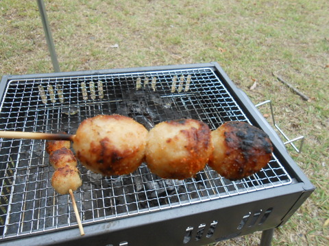 DSCN7463