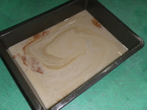 IMGP7856
