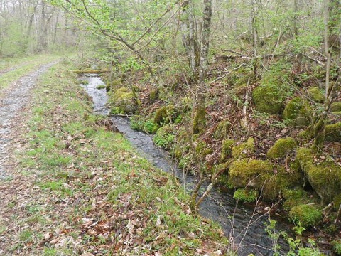 IMGP1648_R