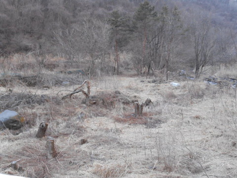 DSCN7114