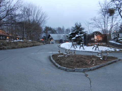 DSCN7123