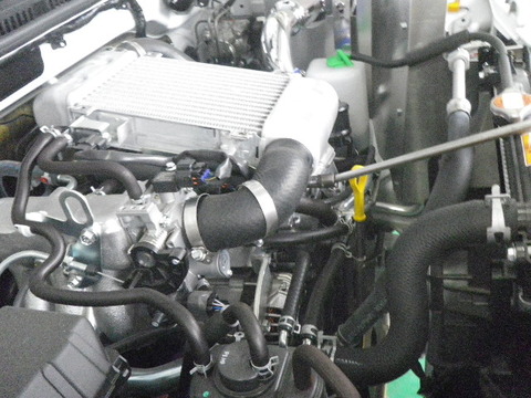 IMGP6620